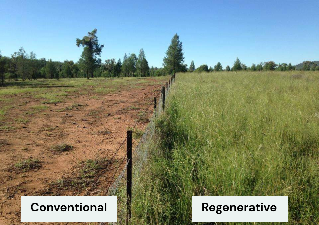 Difference between conventional and regenerative