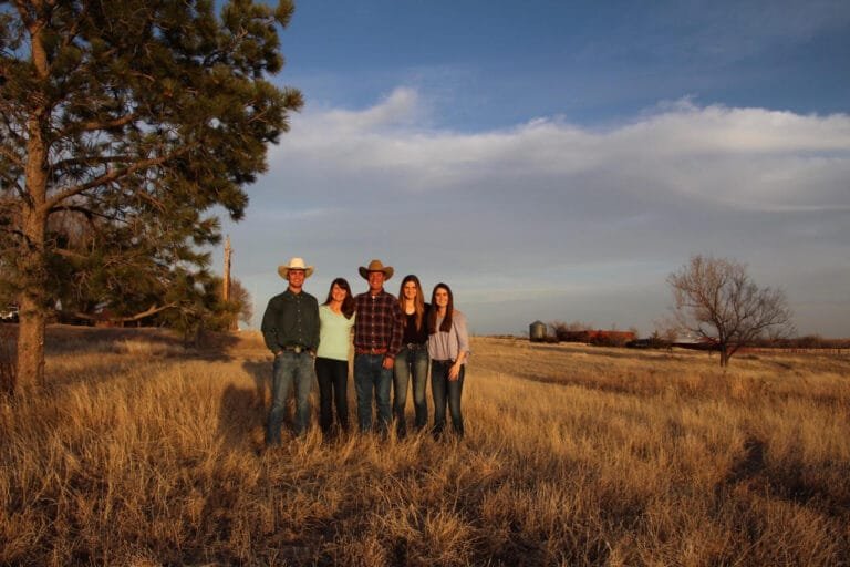 Against all odds: The remarkable ecosystem revival of the Collins Ranch