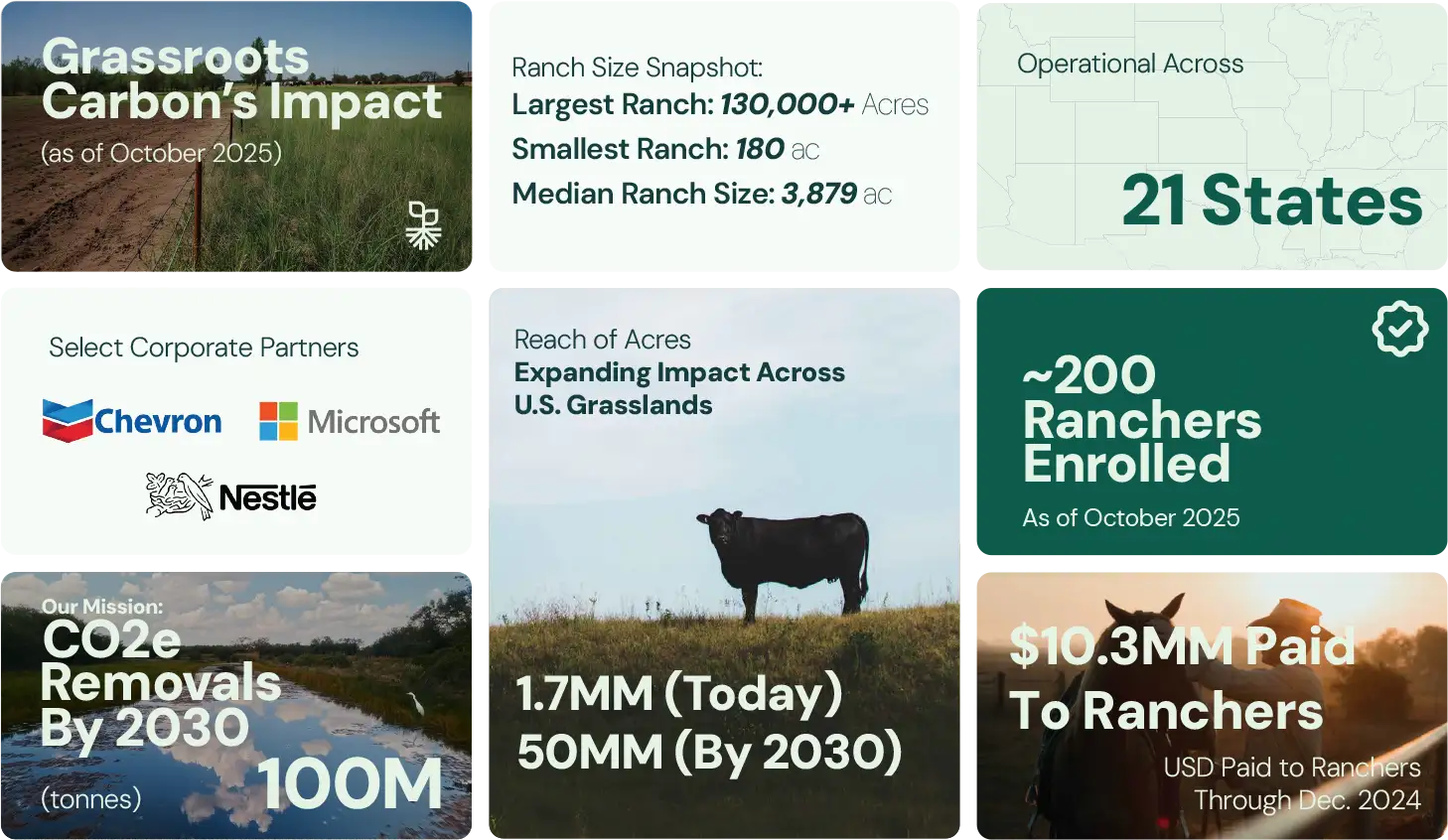Grassroots Carbon impact highlights