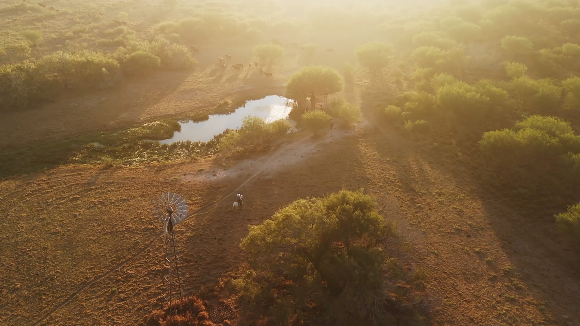 Rooted in Change - Grassroots Carbon