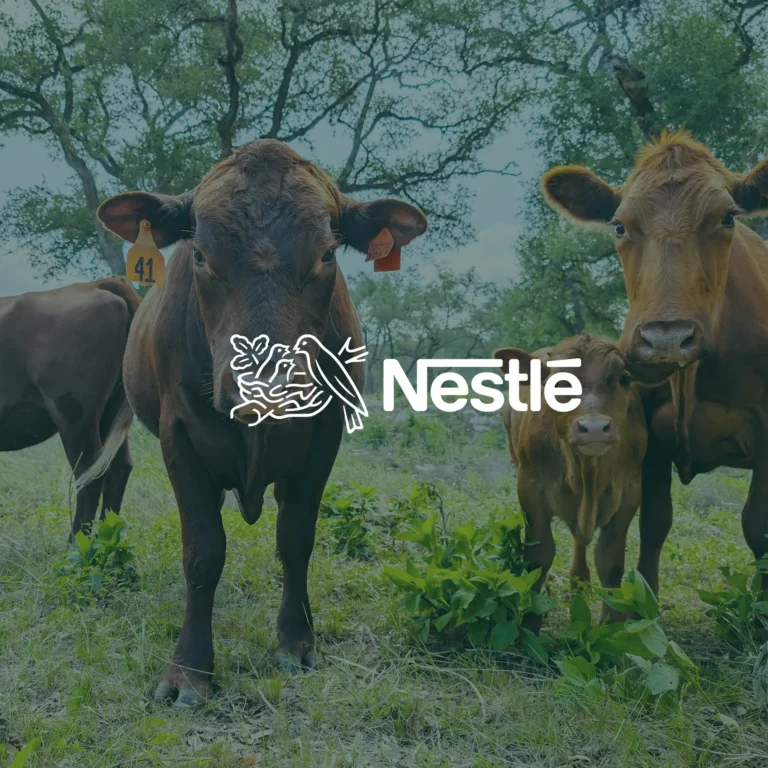 Grassroots Carbon and Nestlé join forces to decarbonize the beef supply chain with regenerative land management in the US