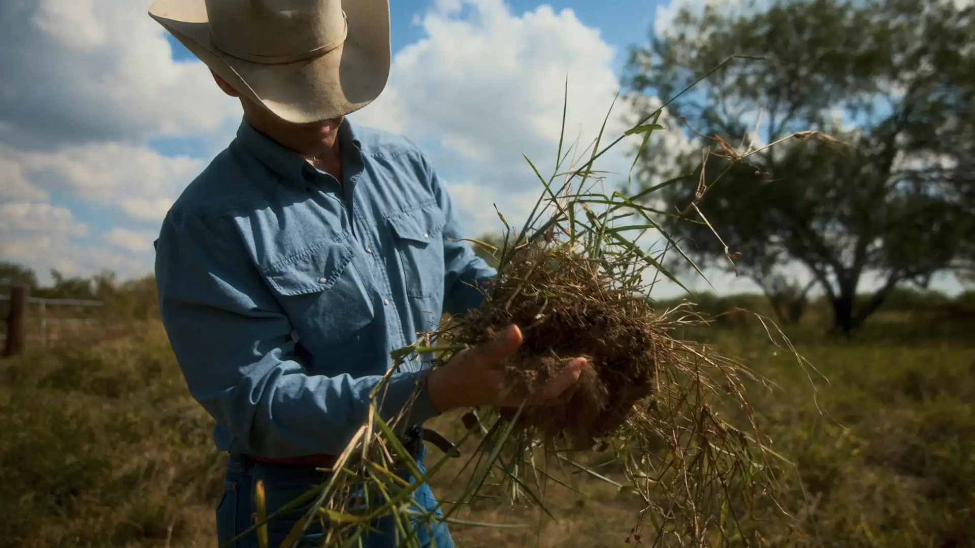 Illustration of a rancher