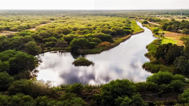 Headwaters Reborn at Roam Ranch