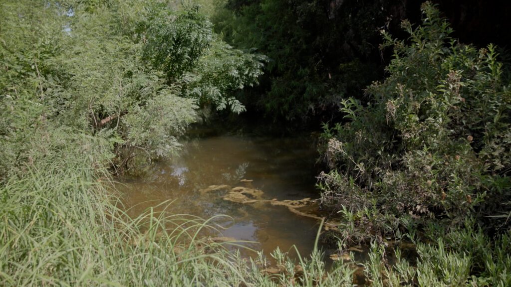 Cave Creek waters revitalizing Roam Ranch