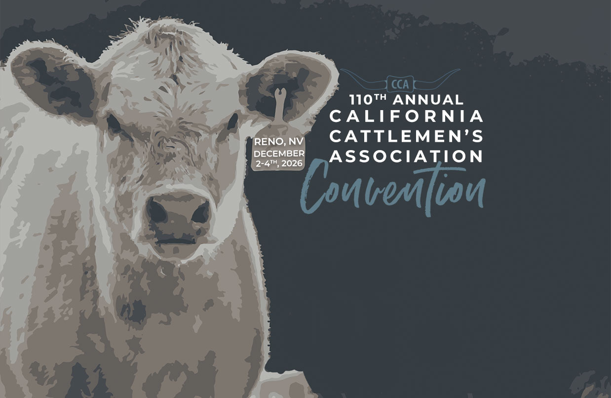 110th Annual CCA & CCW Convention