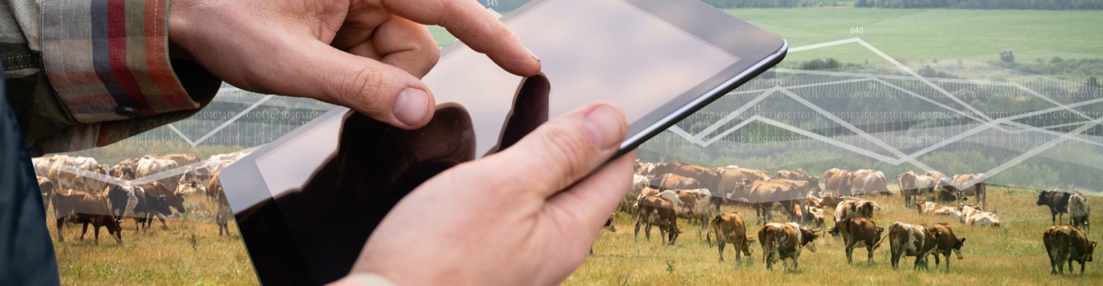 HOLT CAT Symposium: Digital Solutions for Ranch Management