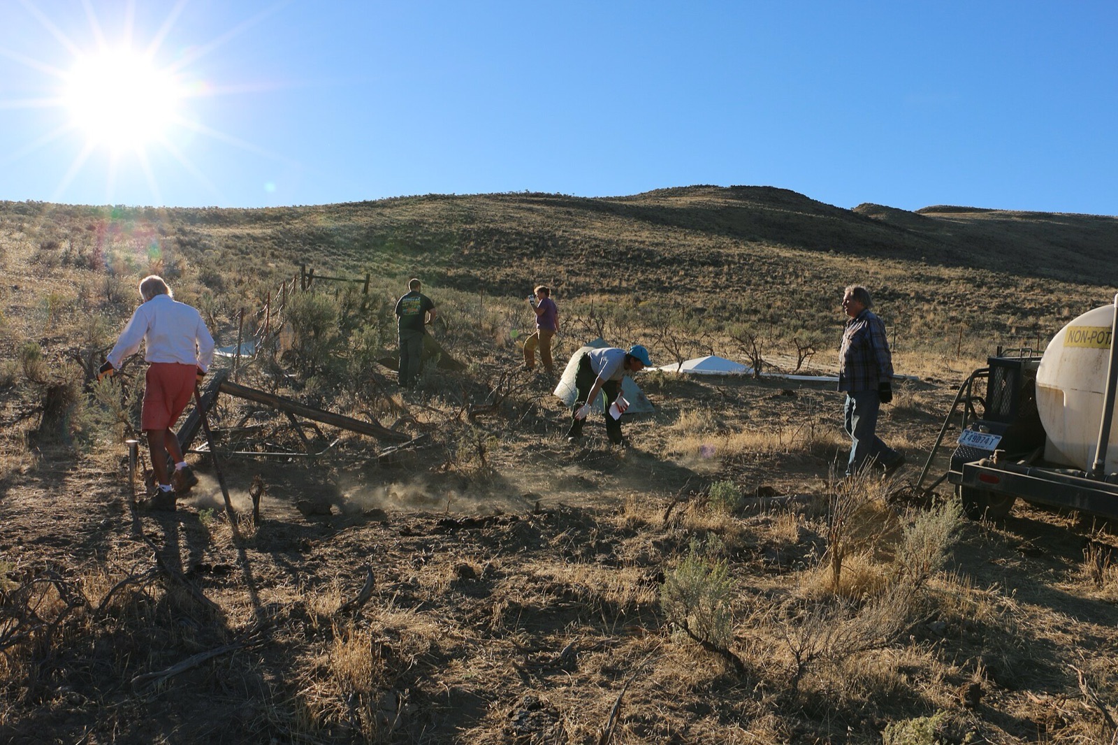 Eastern Washington rangeland