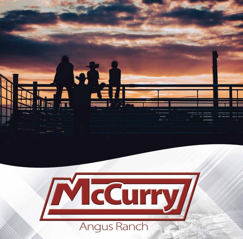 Kansas Angus Field Day