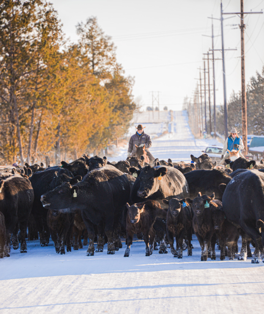 Oregon Cattlemen's Annual Convention & Tradeshow