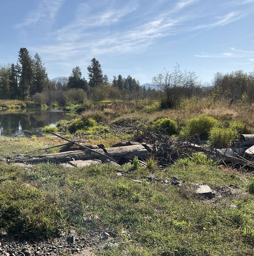 Pacific Northwest rangelands